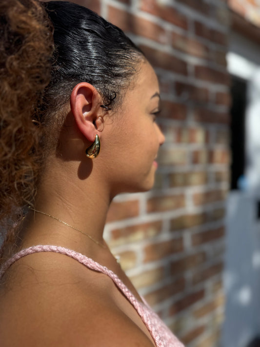 Teardrop Earrings