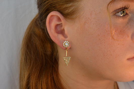 Bejeweled Earrings